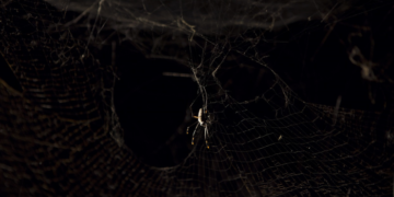 Tomás Saraceno to Collaborate with Rolls-Royce Art Programme