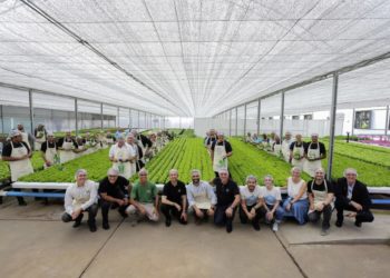 Im brasilianischen Daimler Trucks  &  Buses Werk in S„o Bernardo do Campo wird seit November 2019 Bio-Gemüse für die eigenen Werkskantine n angebaut. 

Since November 2019, organic vegetables have been cultivated in the Brazilian Daimler Trucks  &  Buses plant in S„o Bernardo do Campo for their own factory canteens.