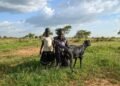 Eli and his daughter, Alice, in the Karamoja region of Uganda.