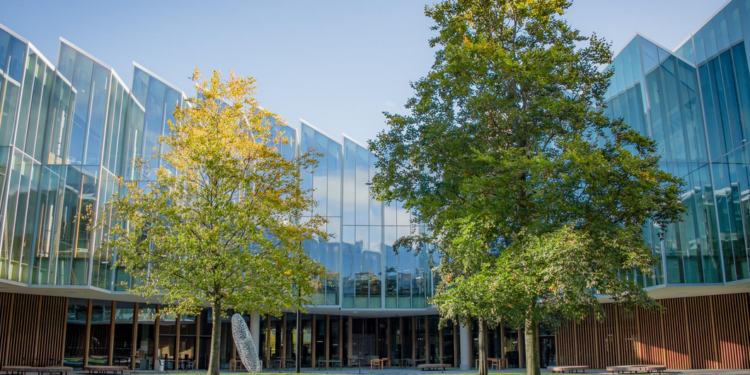 The Discovery Centre courtyard

Copyright David Porter photographer